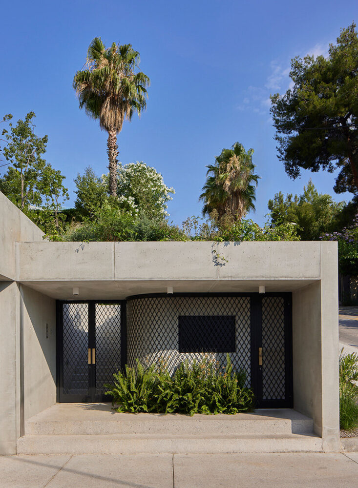 the vegetation is inspired by the untamed Mediterranean flora