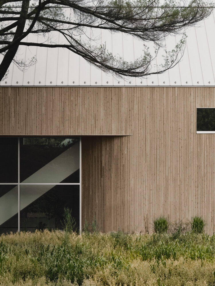 image © Alex Lesage