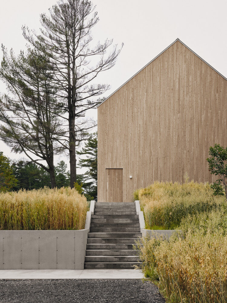 image © Alex Lesage