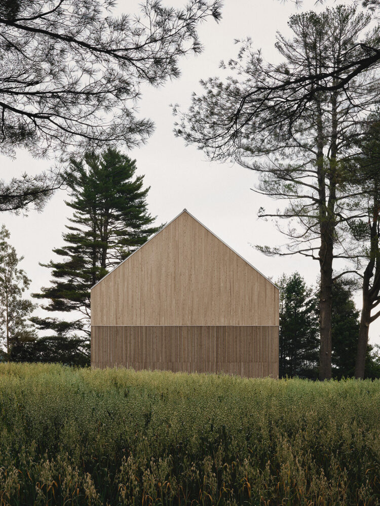 image © Alex Lesage