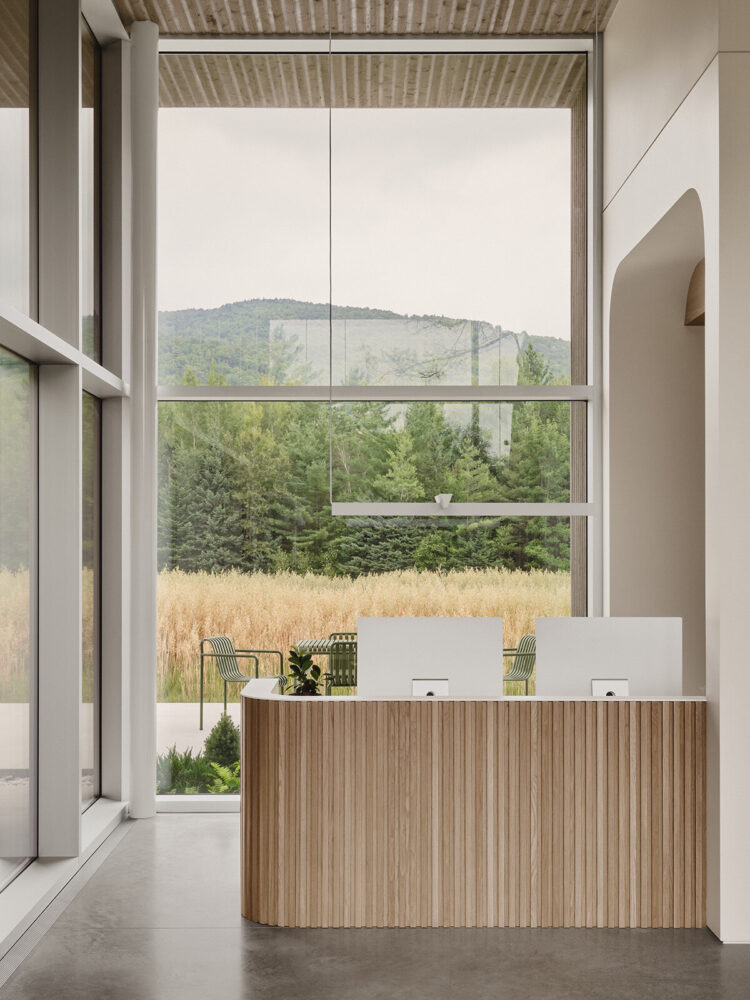 image © Alex Lesage