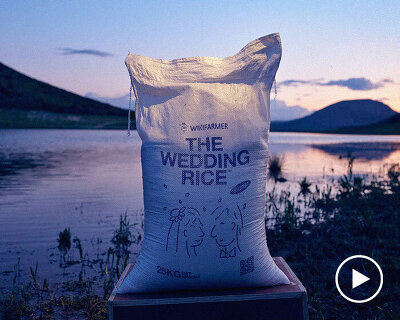 wedding rice repurposes non-edible grains for ceremonial use against food waste