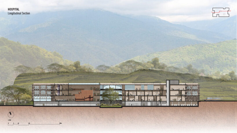 longitudinal section