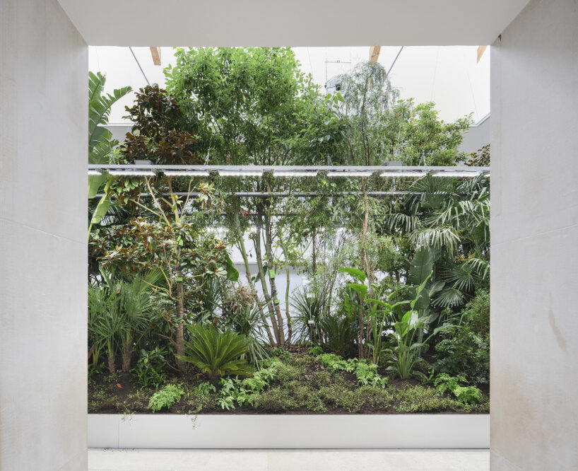 bas smets biospheres plants