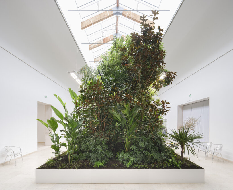 bas smets biospheres plants
