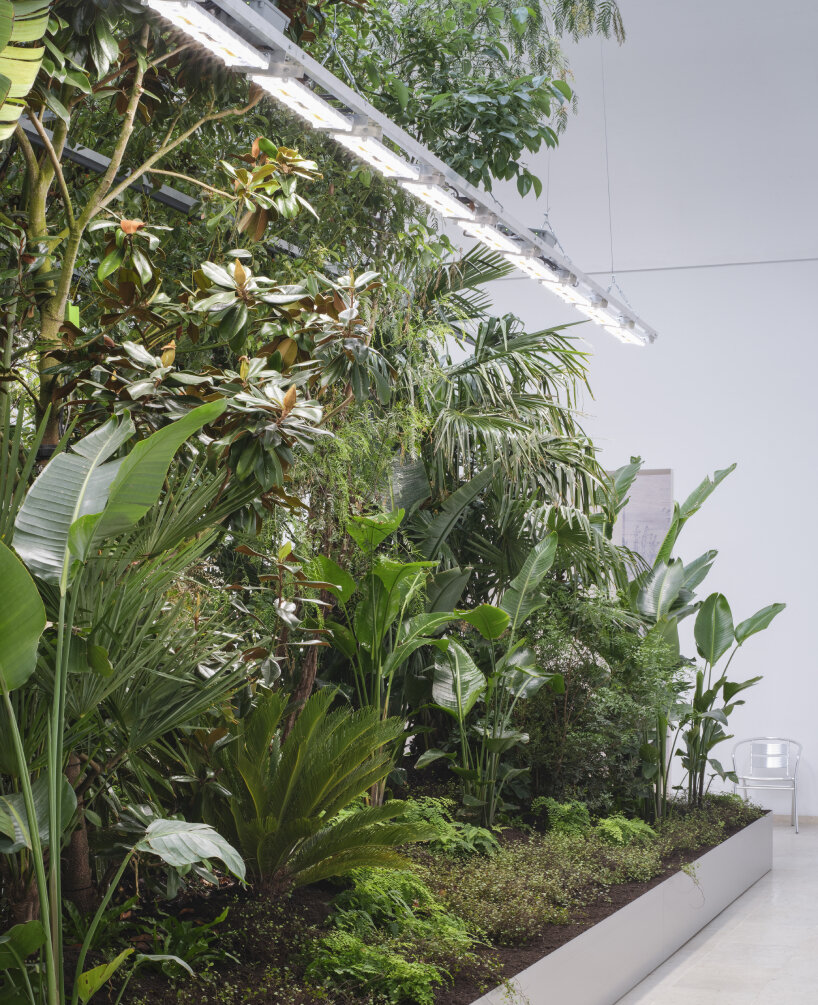 bas smets biospheres plants