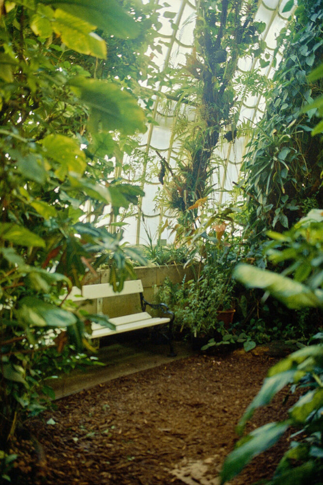 two slightly lower wings form a sweeping rhythm of arches and iron