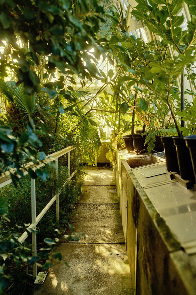 this architectural composition is functional and expressive