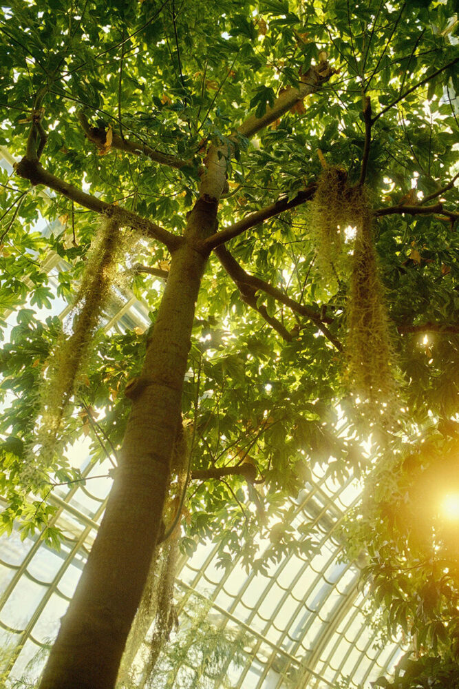 forming a delicate balance between industrial precision and organic flow