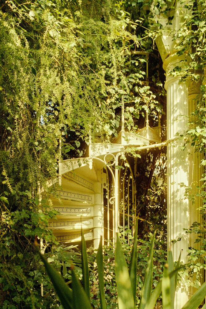 a cold house is located in the north, a temperate zone at the core, and a tropical house in the southern wing