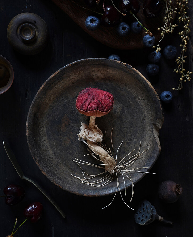 Hangzhou Weiwenwu Cultural Creative Co., LTD - Mushroom brooch