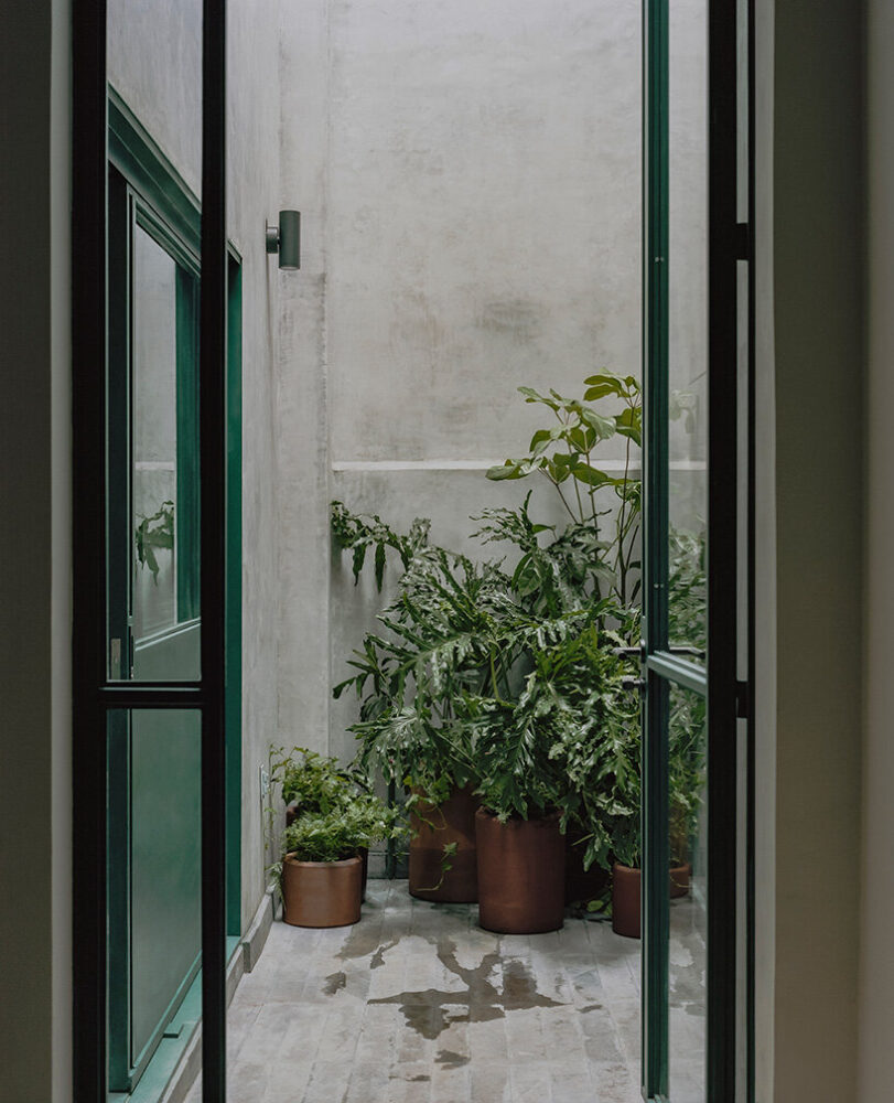 image by Gerardo Reyes Bustamante