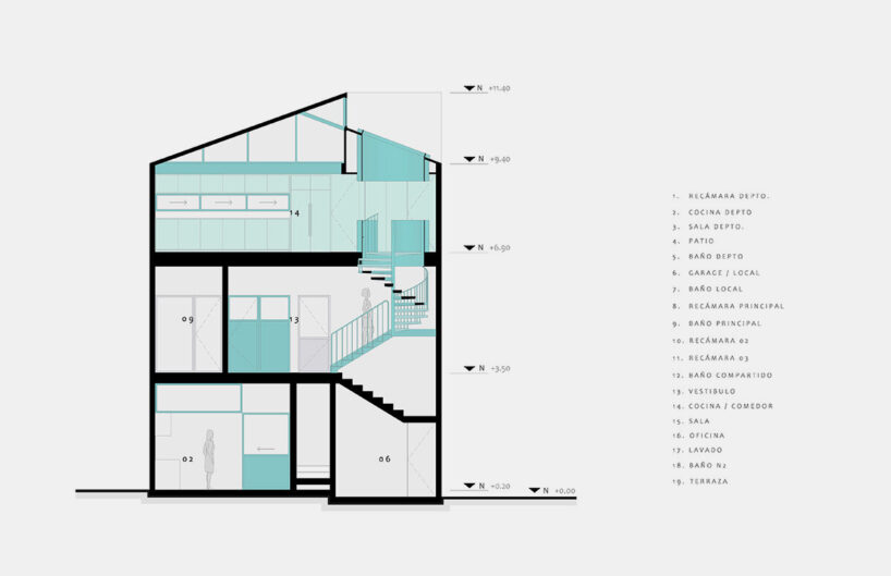Section by Amasa Estudio