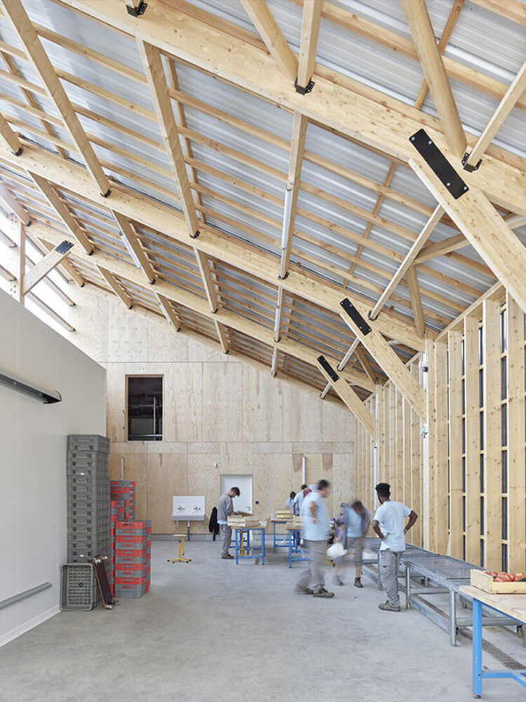 welcoming the public into a richly programmed landscape