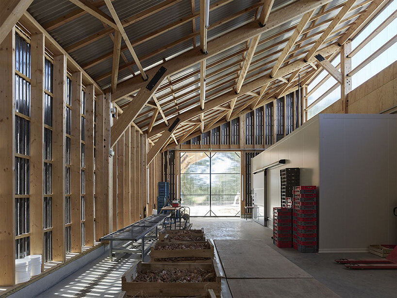the architecture leverages solar orientation, passive ventilation, and local materials