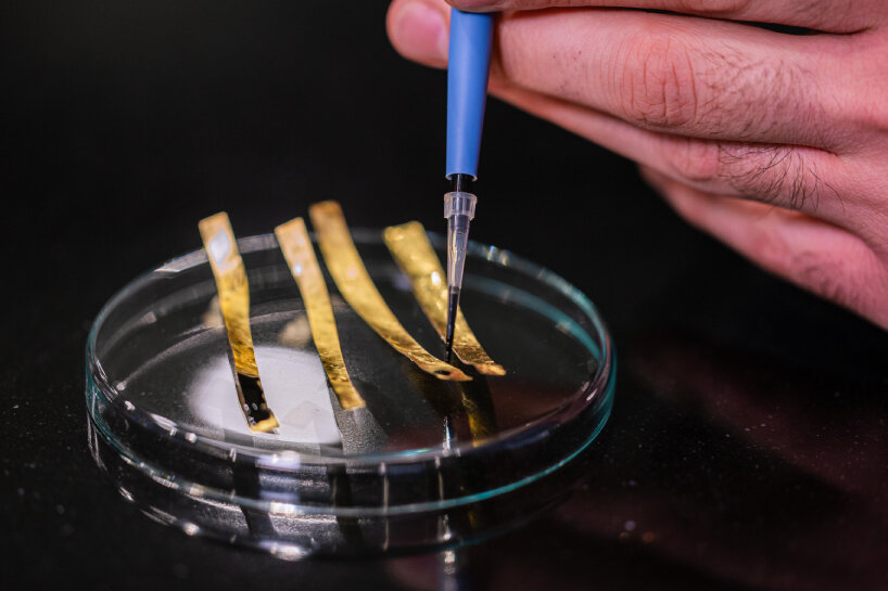 researchers use vitamin B2, quercetin, activated carbon, and chocolate for the batteries