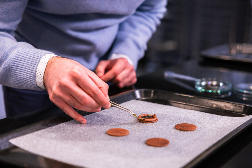 the researchers decorate the cake with the rechargeable batteries