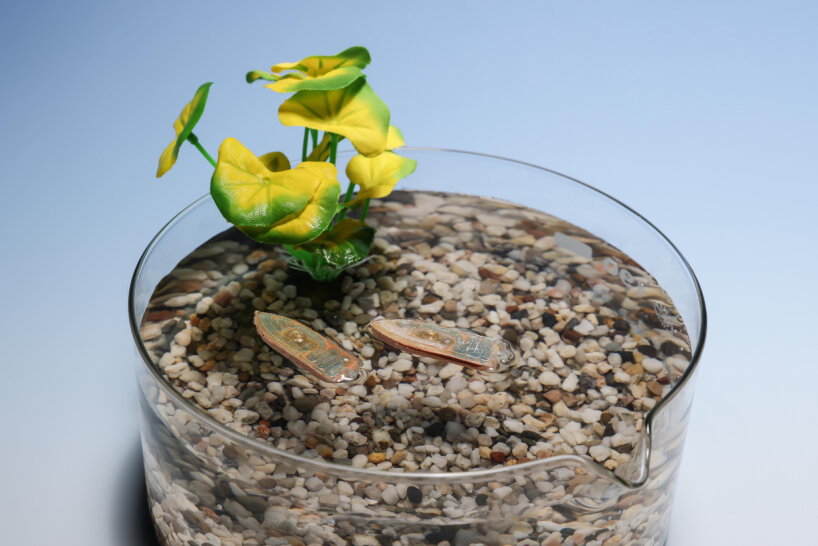 these micro devices also collect data on the water’s pH levels, temperature, pollutants, and microorganisms