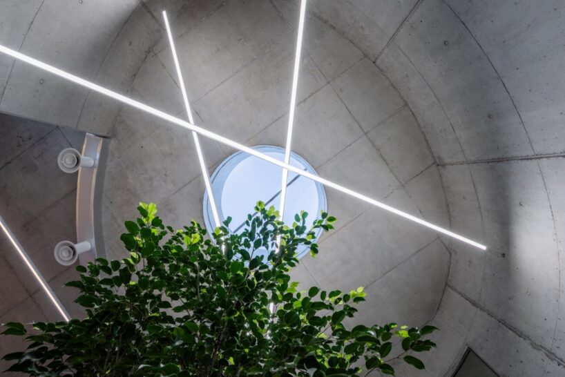 davide macullo's veterinary clinic hides behind a cluster of concrete curves in albania