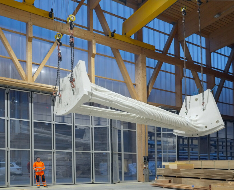 photo by Andrei Jipa