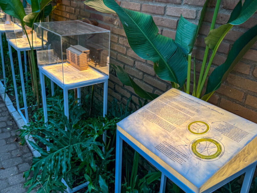 inspiring new perspectives on urban living and coexistence