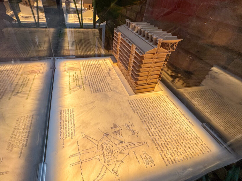 the exhibition explores how different species design and inhabit their environments