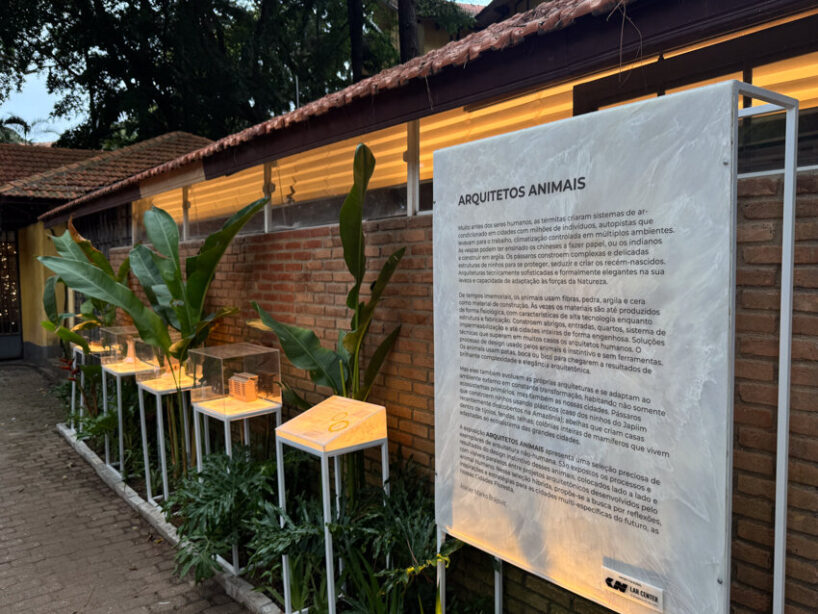 surrounding the installation is the Animal Architects Exhibition