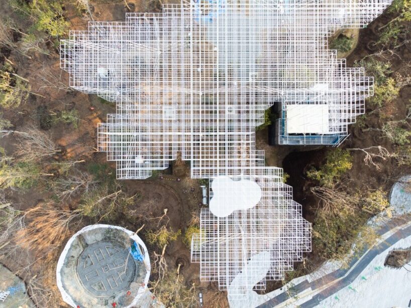 some circular, others irregular, the canopies recall clouds or tree branches