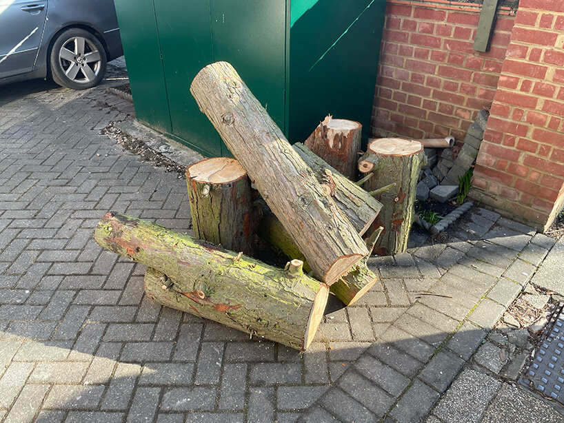 crafted from a local tree, Sati maintains a connection to its urban origin in Brent, London