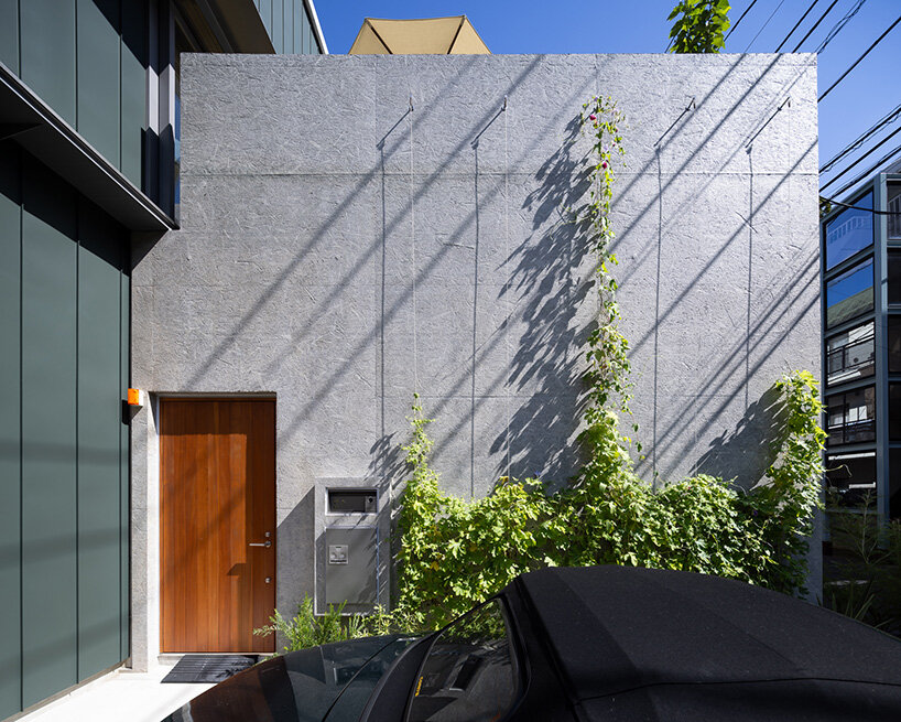 bitter gourd vines scale the walls