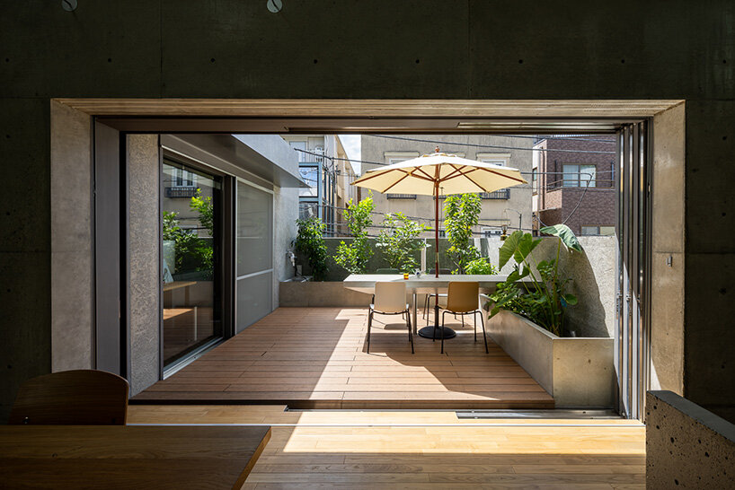 waste from the kitchen garbage processor nourishes the terrace plants