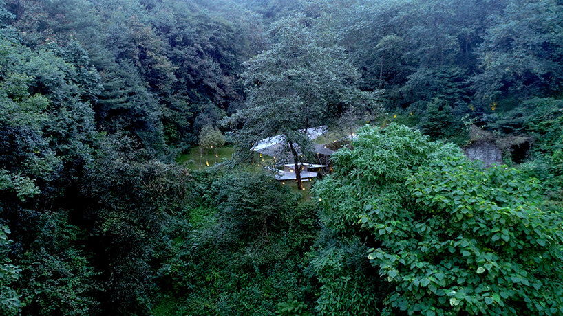 intensifying the experience of looking up