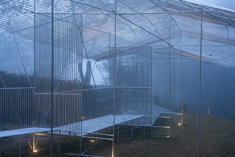 boundaries dissolve between observer and observed