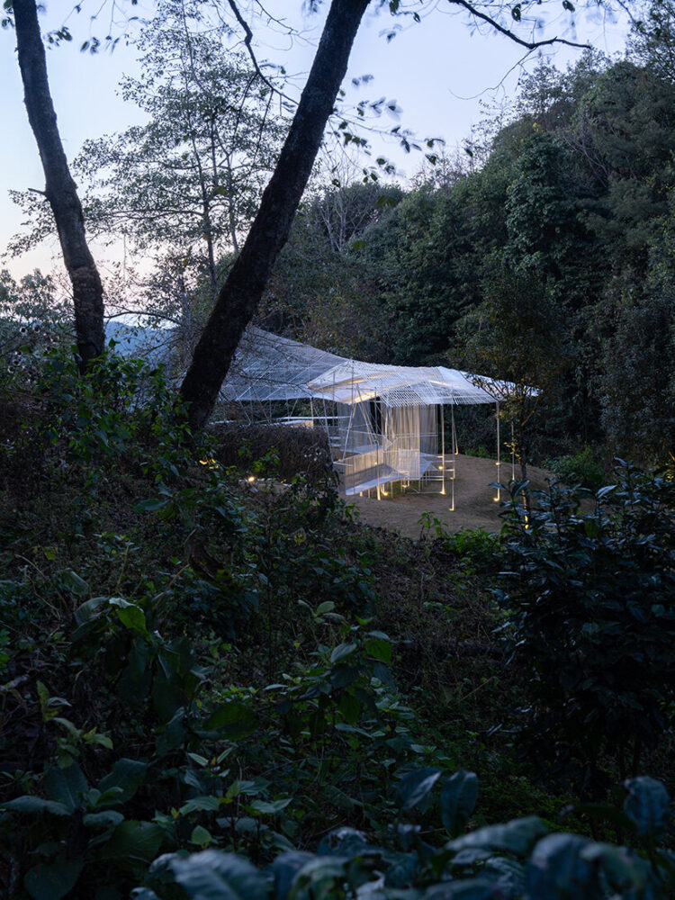 an end table on the west opens toward dense rainforest