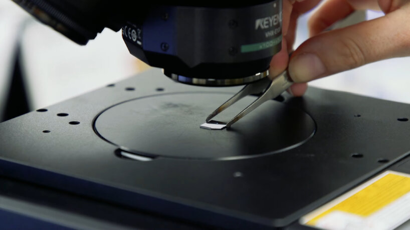 world’s smallest violin