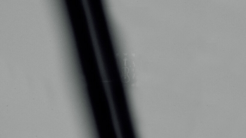 image of the violin in the middle compared to the strand of hair next to it