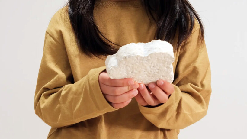 mymori mushroom mycelium toy