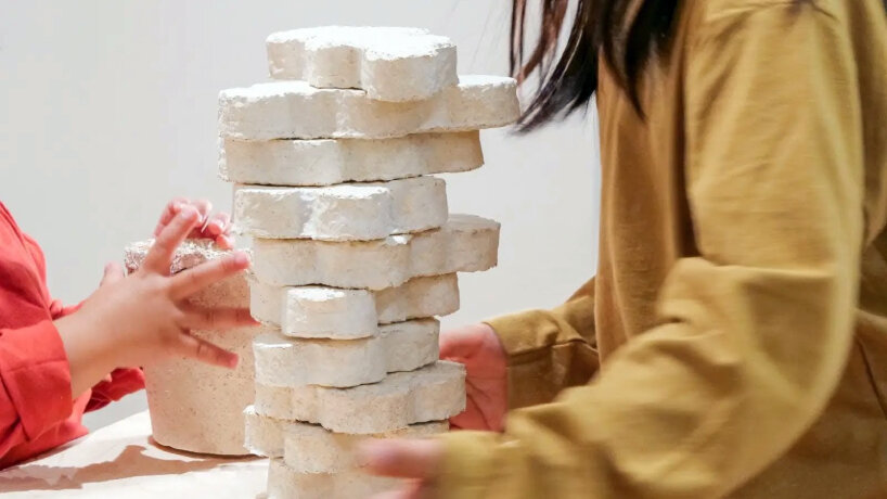 mymori mushroom mycelium toy