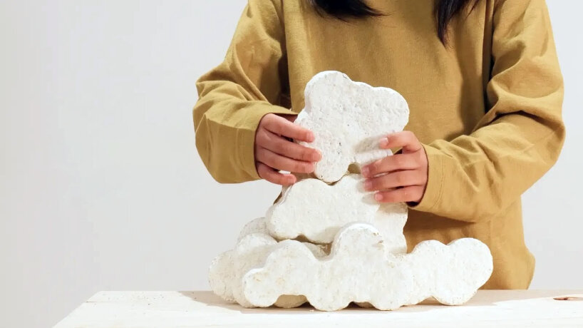 mymori mushroom mycelium toy
