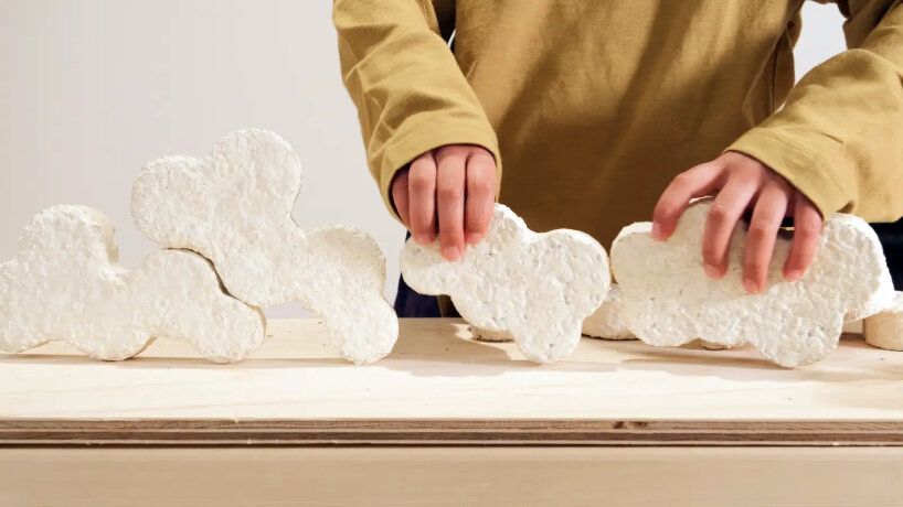 mymori mushroom mycelium toy