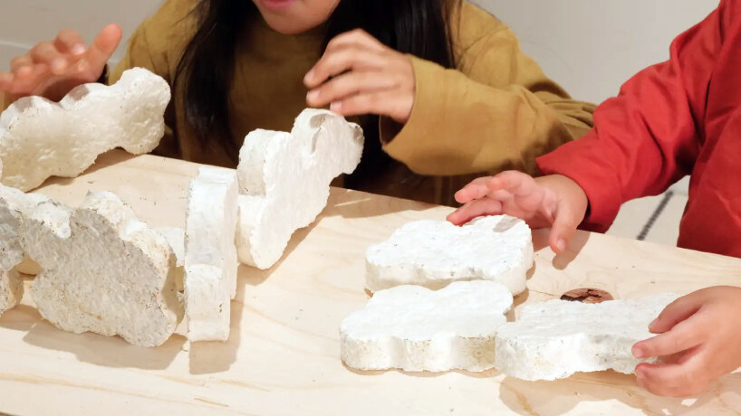 the kit includes spores from oyster and lychee mushrooms and different types of wood materials