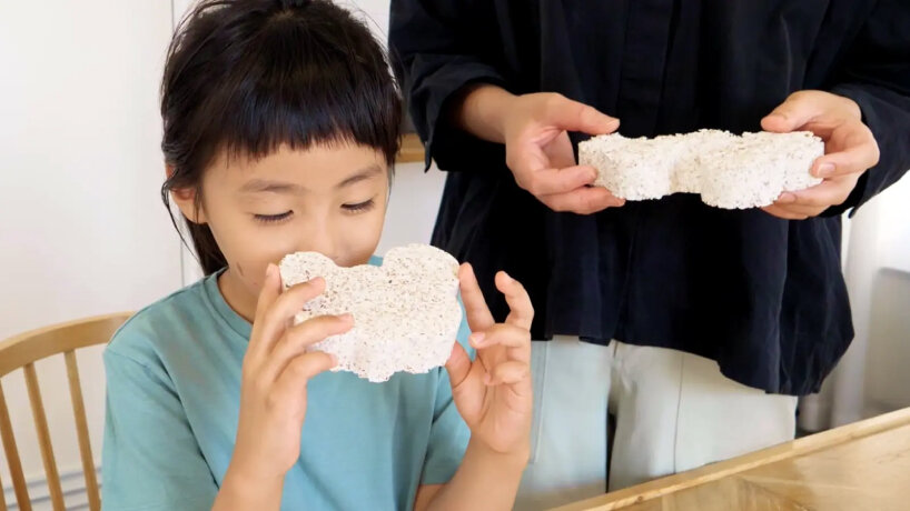 when smelled, the toy evokes the scent of a forest or fresh bread