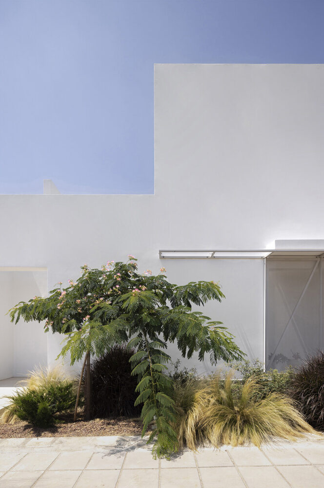 glimpses of light, shade, and small pockets of planted greenery