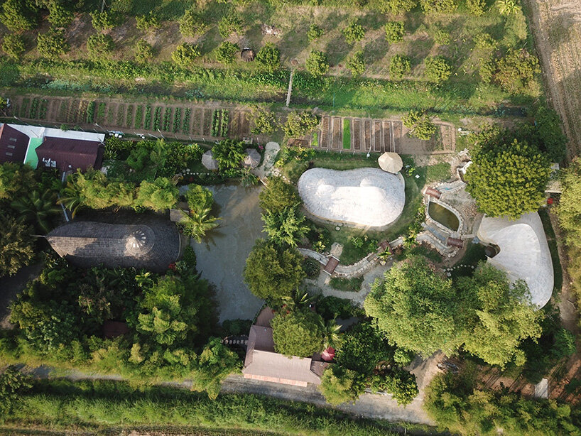 a large tree sits on one side, and a small pond on the other