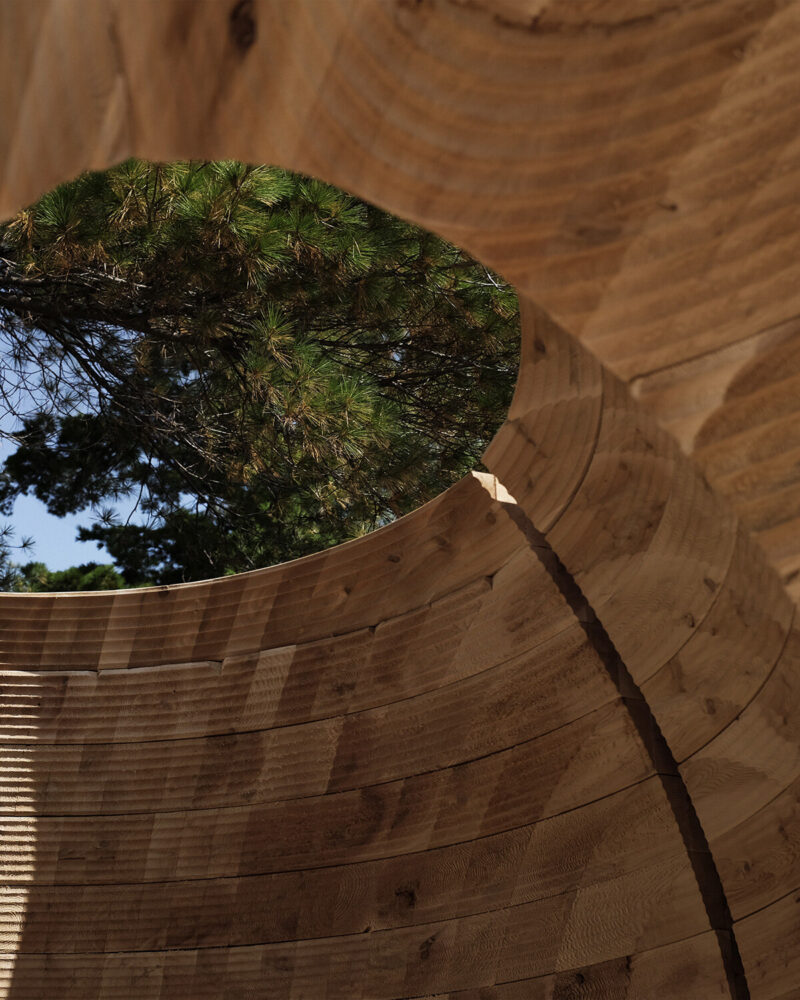 image © Luca Fortin