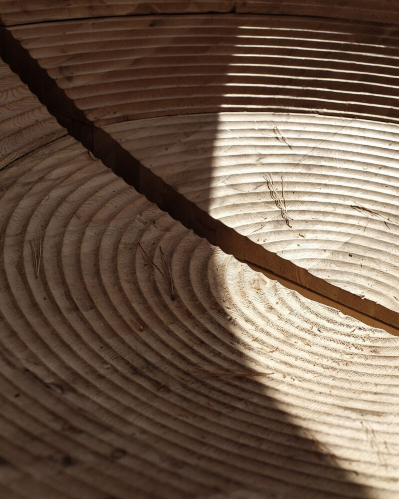 image © Luca Fortin