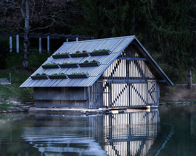 OFIS architects renovates boathouse in slovenia with rooftop garden that filters lake water