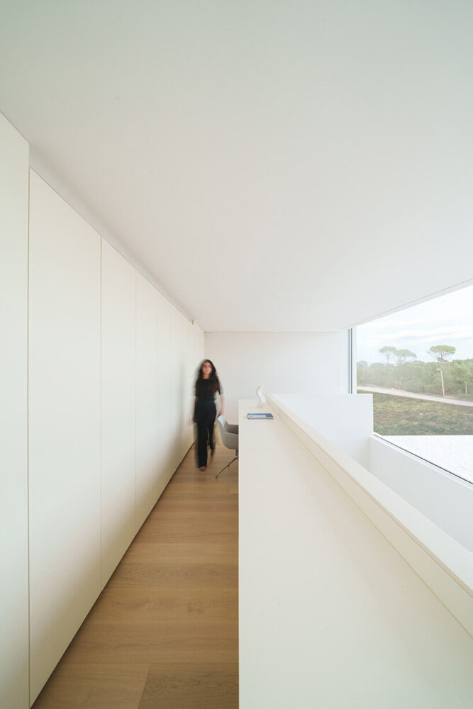 above, the study space becomes a quiet heart of the home