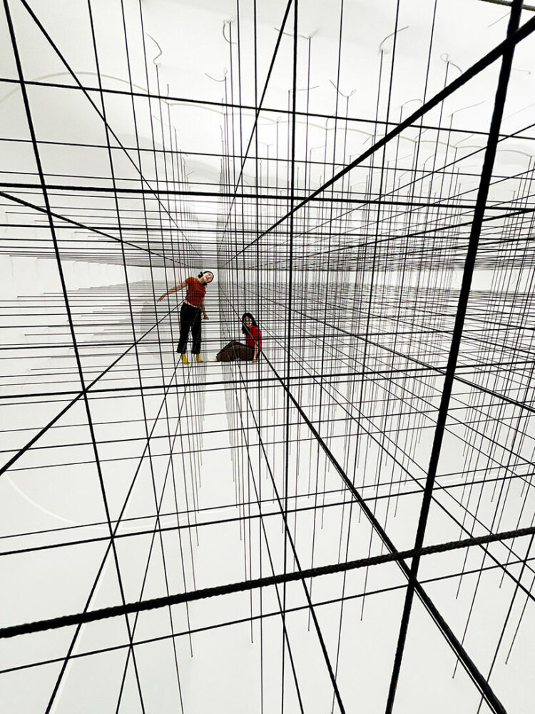 bypassing any need for rigid framing or scaffolding