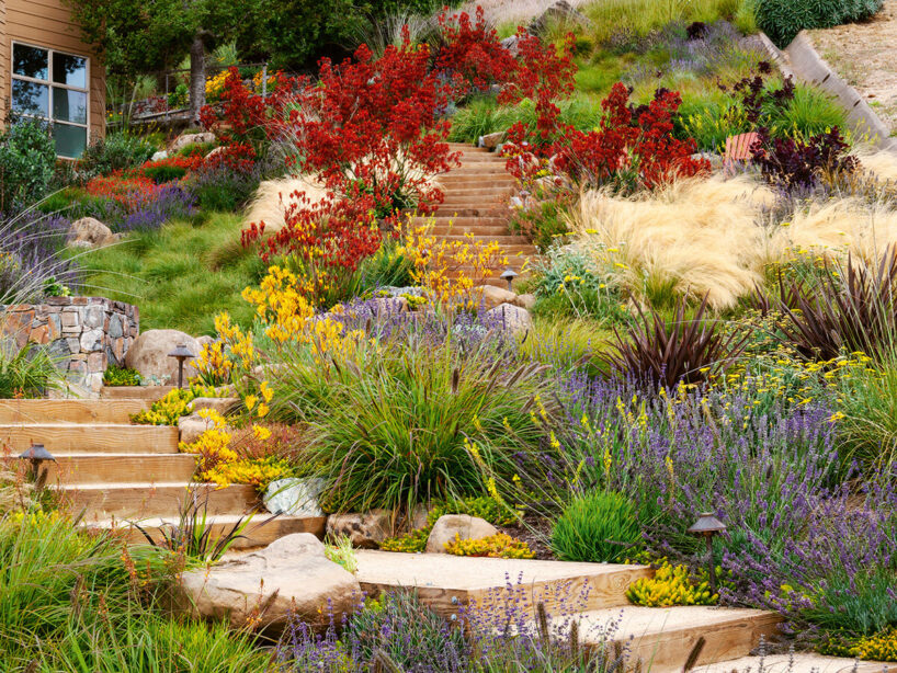 Private Garden, Arterra Landscape Architects, Tiburon, California, United States, 2012